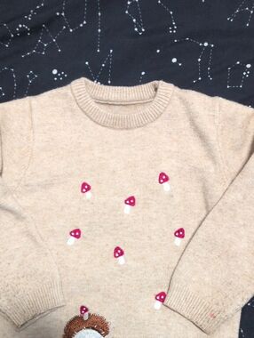 Beige Mushroom Embroidered Toddler Sweater